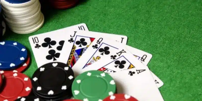 C&aacute;c lợi &iacute;ch của việc săn ưu đ&atilde;i từ nh&agrave; c&aacute;i