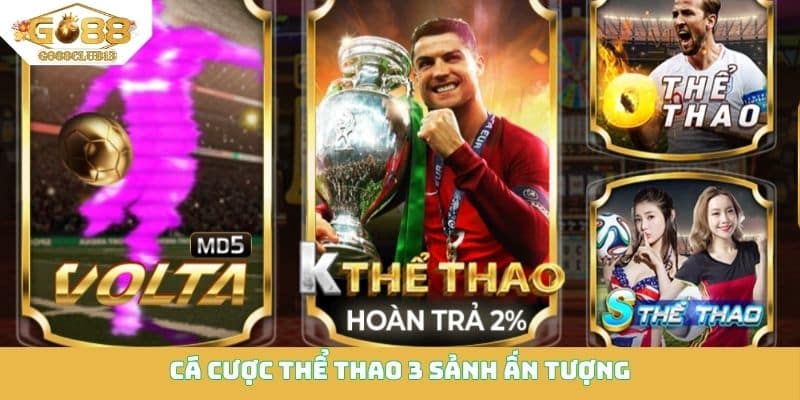 Cá cược thể thao 3 sảnh ấn tượng